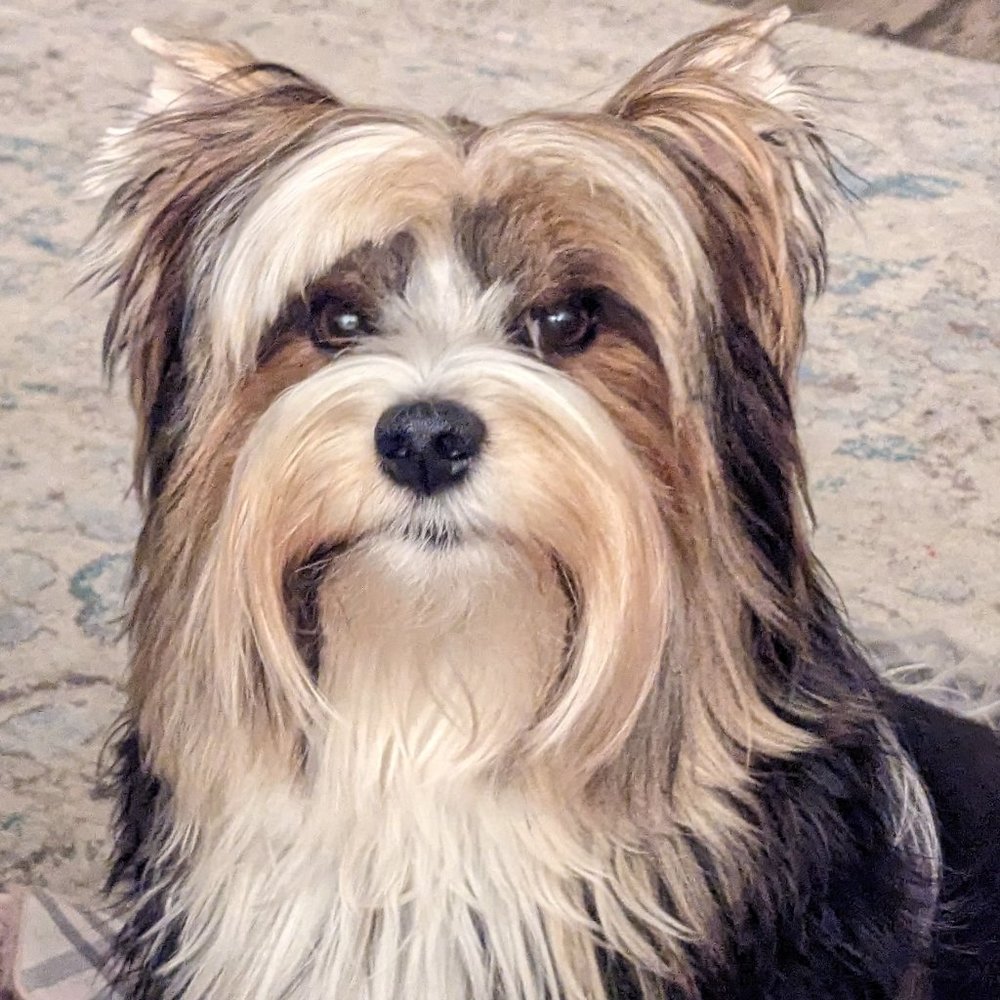 Meet your Posher, Cera